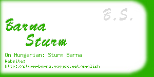 barna sturm business card